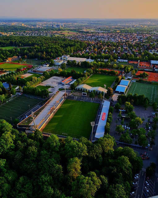 恰好反映了 恰好反映了