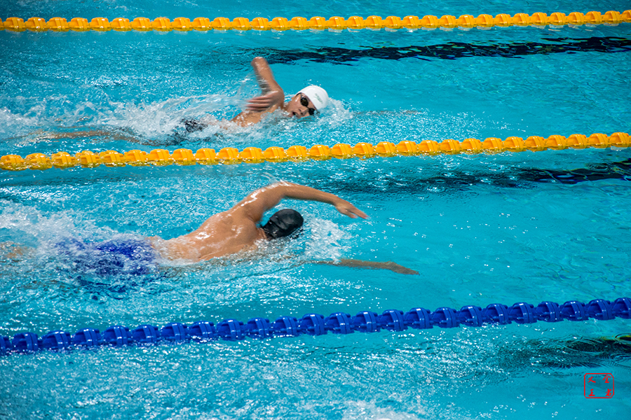 示其实力的 示其实力的