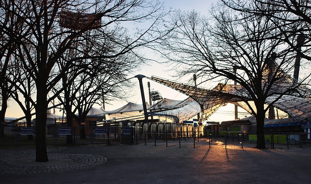 精彩的竞技 精彩的竞技