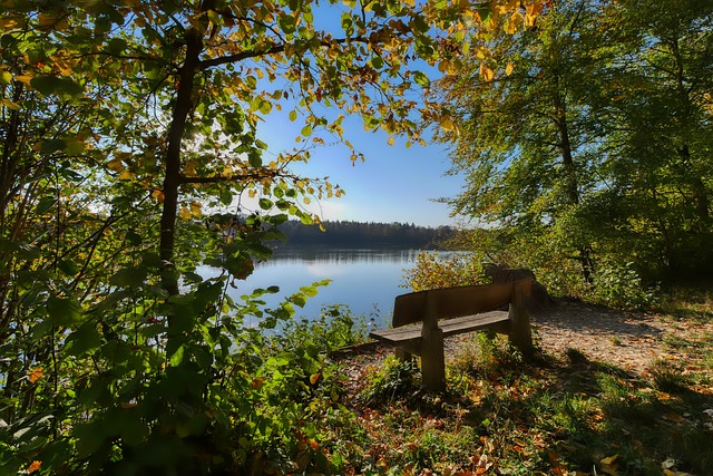 欧美及亚洲 欧美及亚洲
