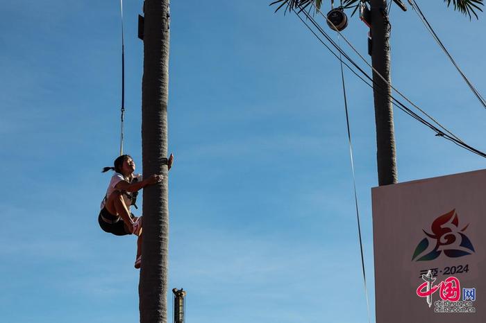 海岸的SN 海岸的SN